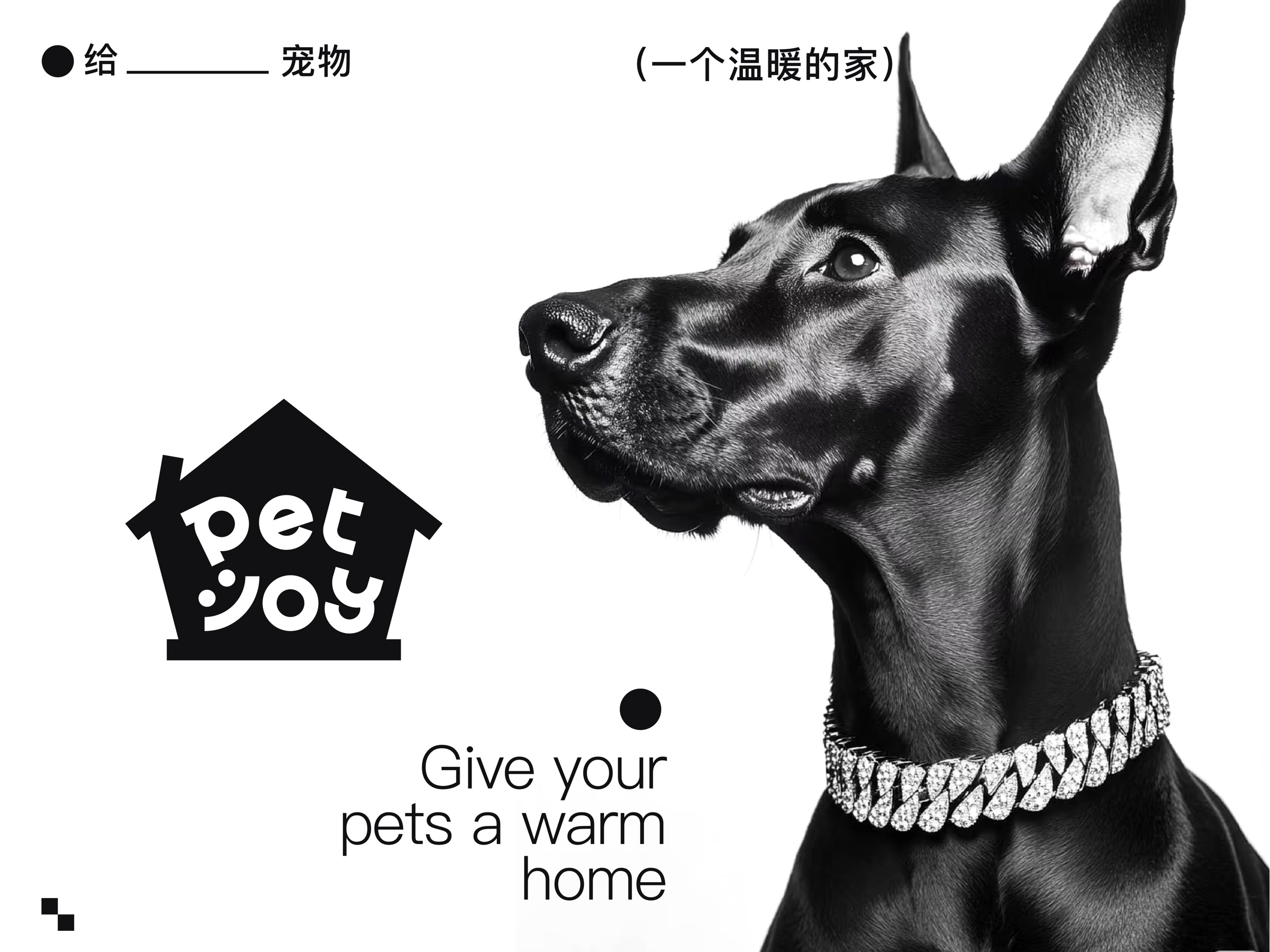 PetJoy 宠家嘉品牌案例